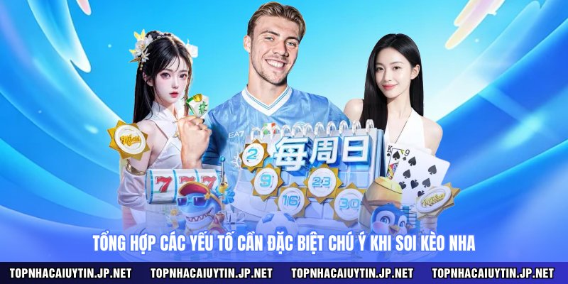 Tổng hợp các yếu tố cần đặc biệt chú ý khi soi kèo NHA