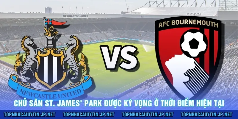 Chủ sân St. James' Park được kỳ vọng ở thời điểm hiện tại