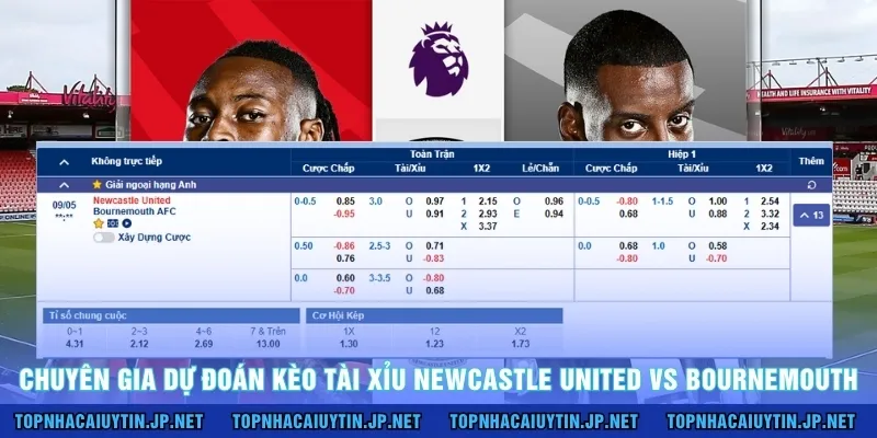 Chuyên gia dự đoán kèo tài xỉu Newcastle United vs Bournemouth